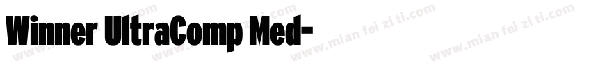 Winner UltraComp Med字体转换